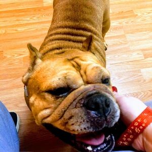 Meet your Posher, Krista